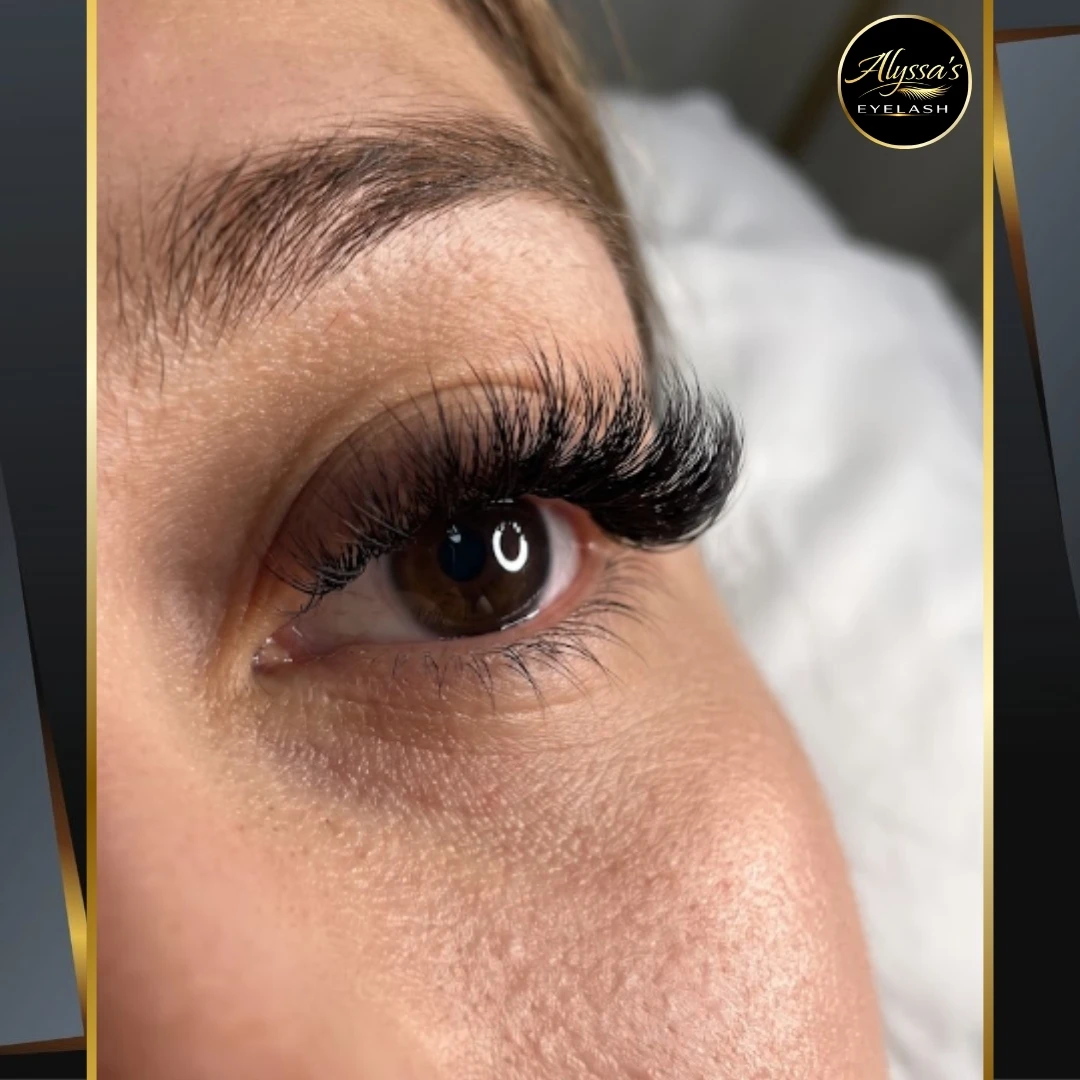 Lash Sep 24